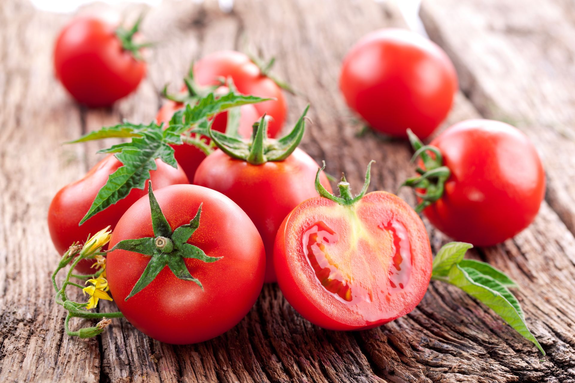 Как прорастить семена помидоров: полезные советы