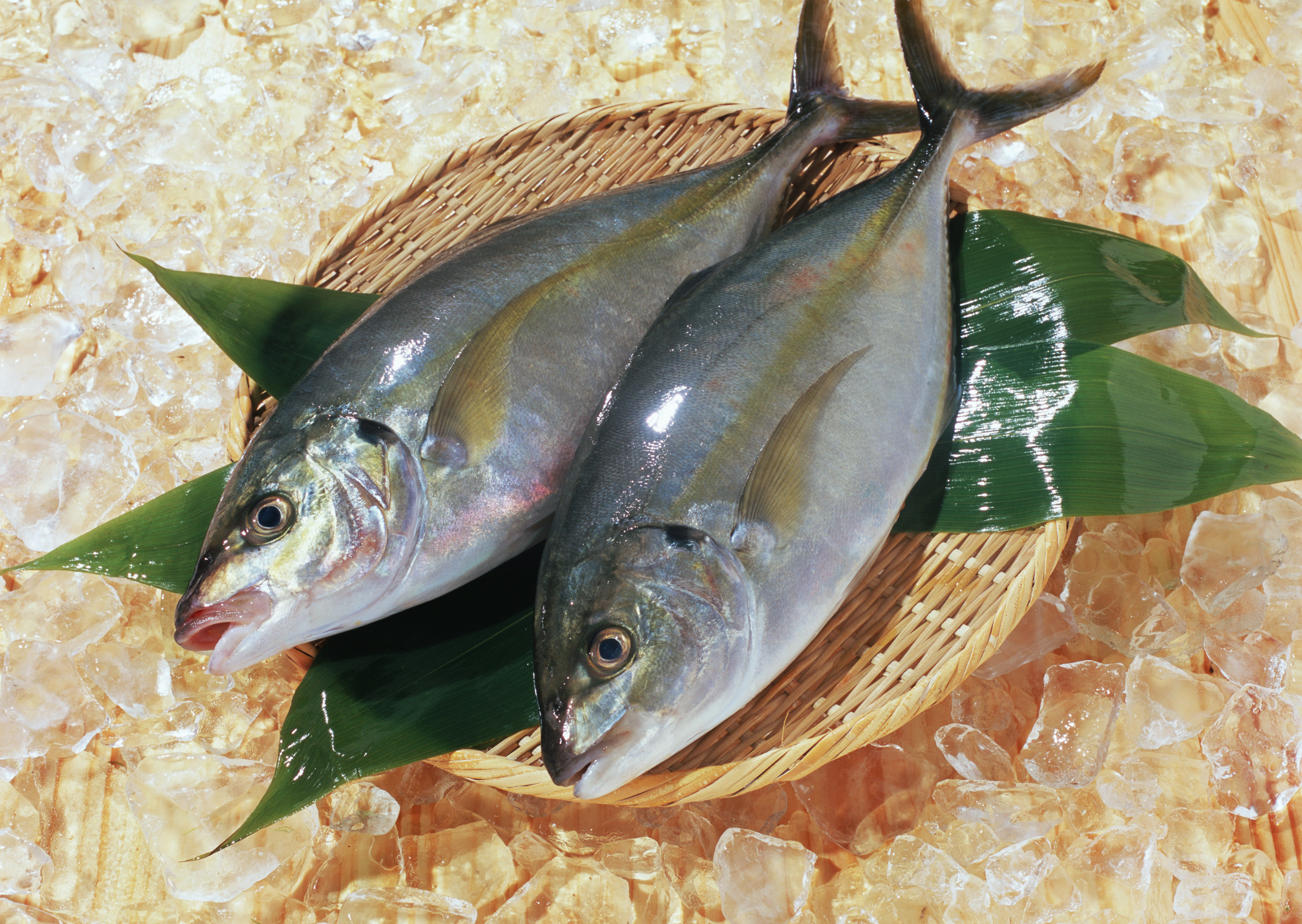 Кахавай Рыба Фото