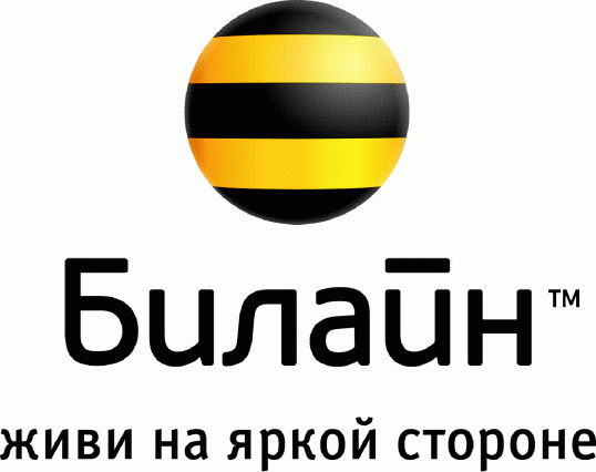 Как получить счет в Билайн