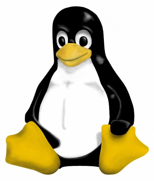 Как русифицировать Linux
