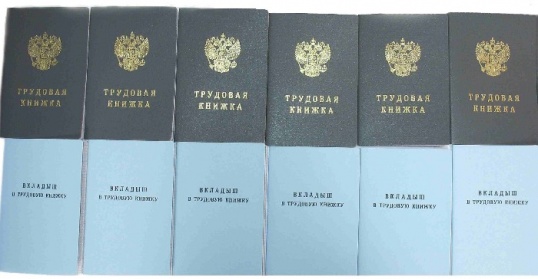 Если места для записей не осталось - оформите вкладыш в трудовую книжку