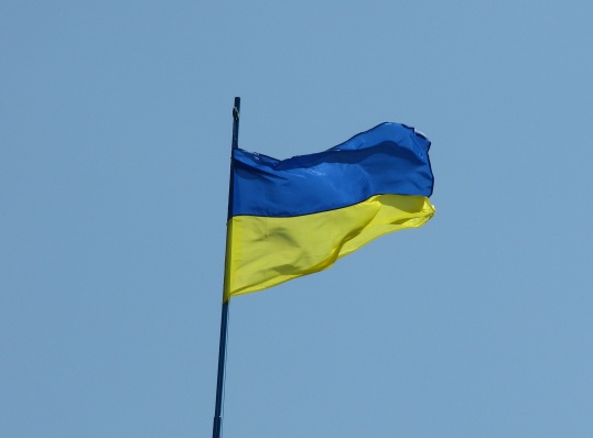 Как вступить в Партию Регионов