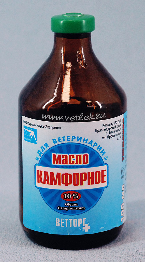 Как делать компрессы с камфорным маслом