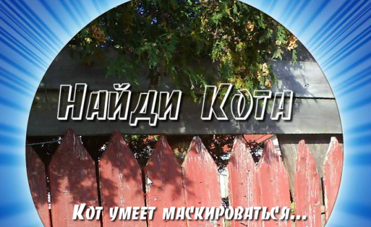 найди кота рисовать