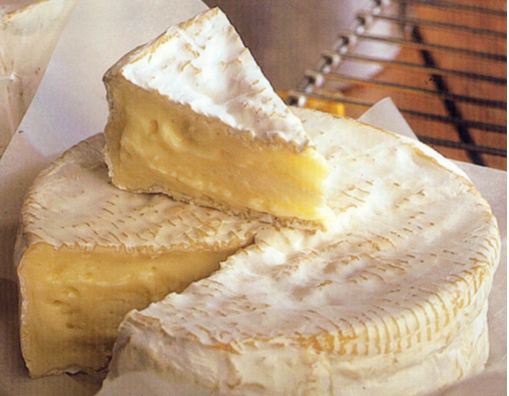 История возникновения и особенности сорта «Бри» в сыроделии