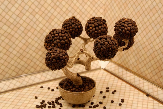 Поделки из кофейных зерен своими руками дерево