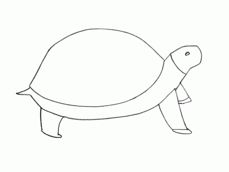 Как нарисовать <strong>черепашку</strong>