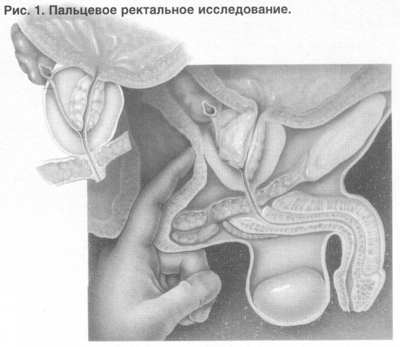 Болит живот и понос при беременности на ранних