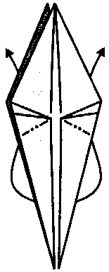 Шаг 15