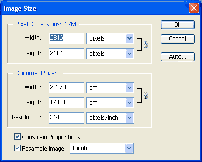 3x4 Фото Размер