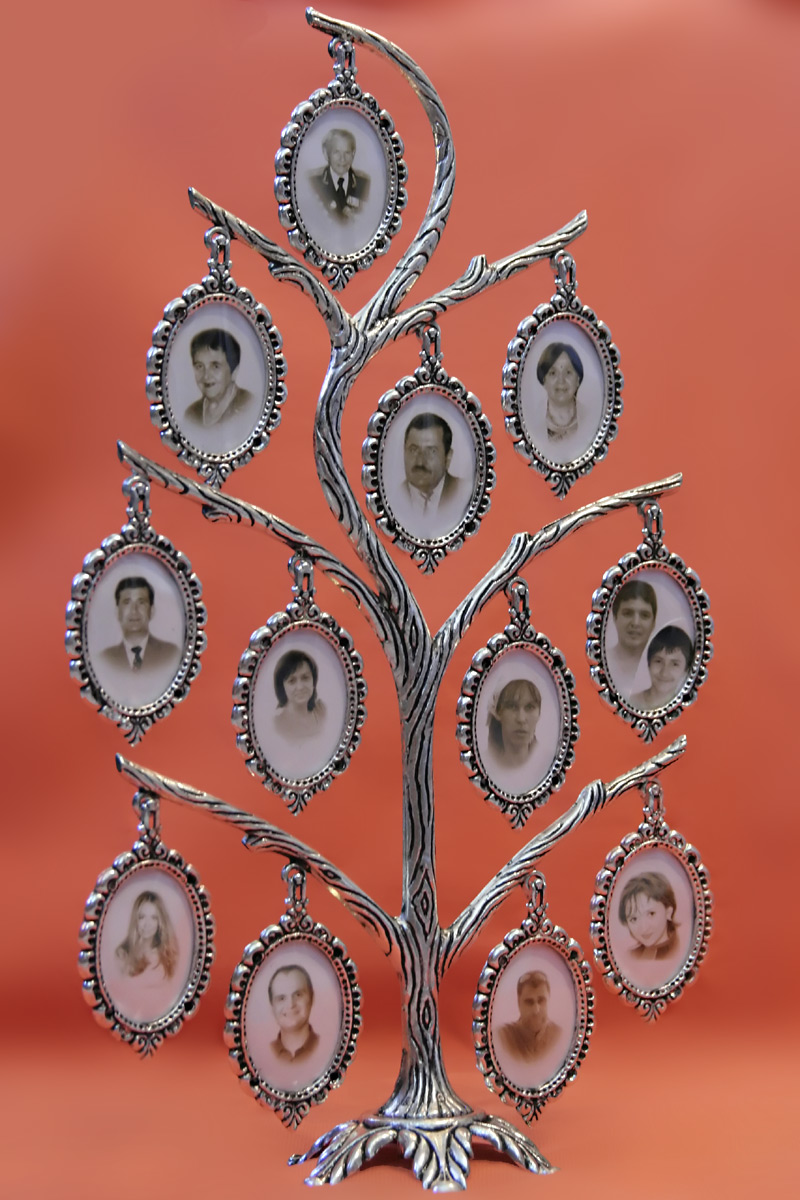 Семейное дерево своими руками: пять вариантов создания