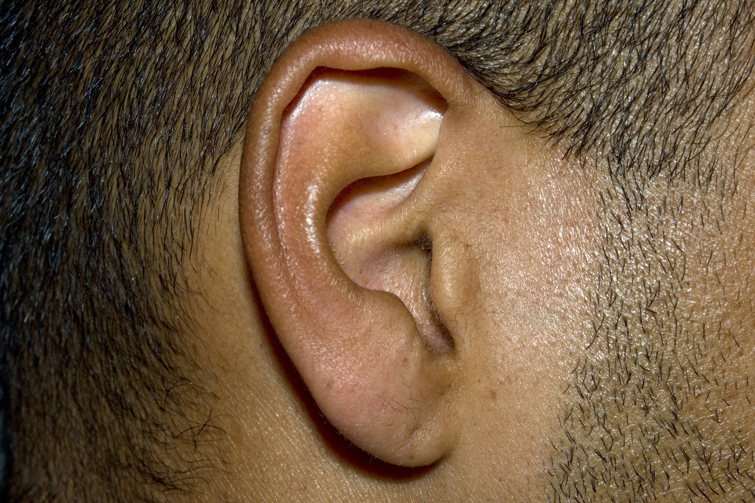 Фото уха человека в картинках