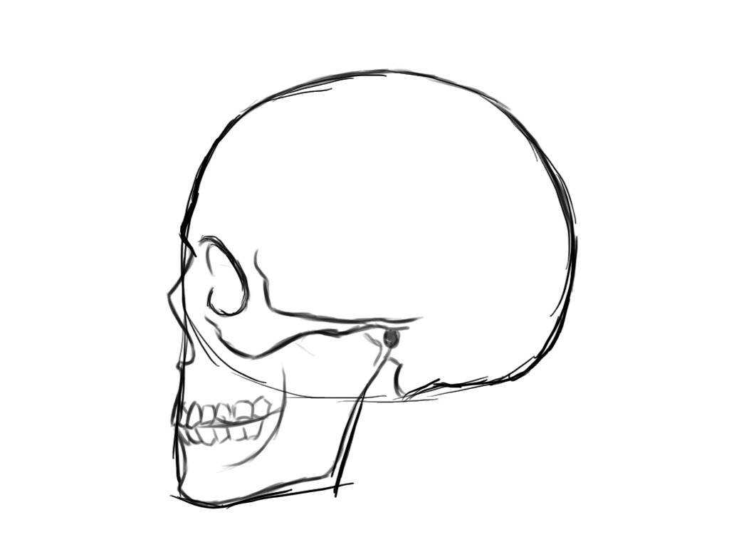 Как рисовать череп. Как рисовать череп сбоку. Рисуем череп поэтапно карандашом. Рисунки карандашом для начинающих черепа. Пошаговое рисование черепа.