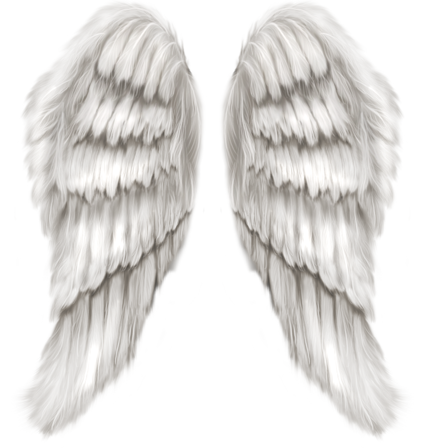 Крылья картинки. Ангел с крыльями. Белые Крылья. Крылья ангелов. Крылья ангела для фотошопа.