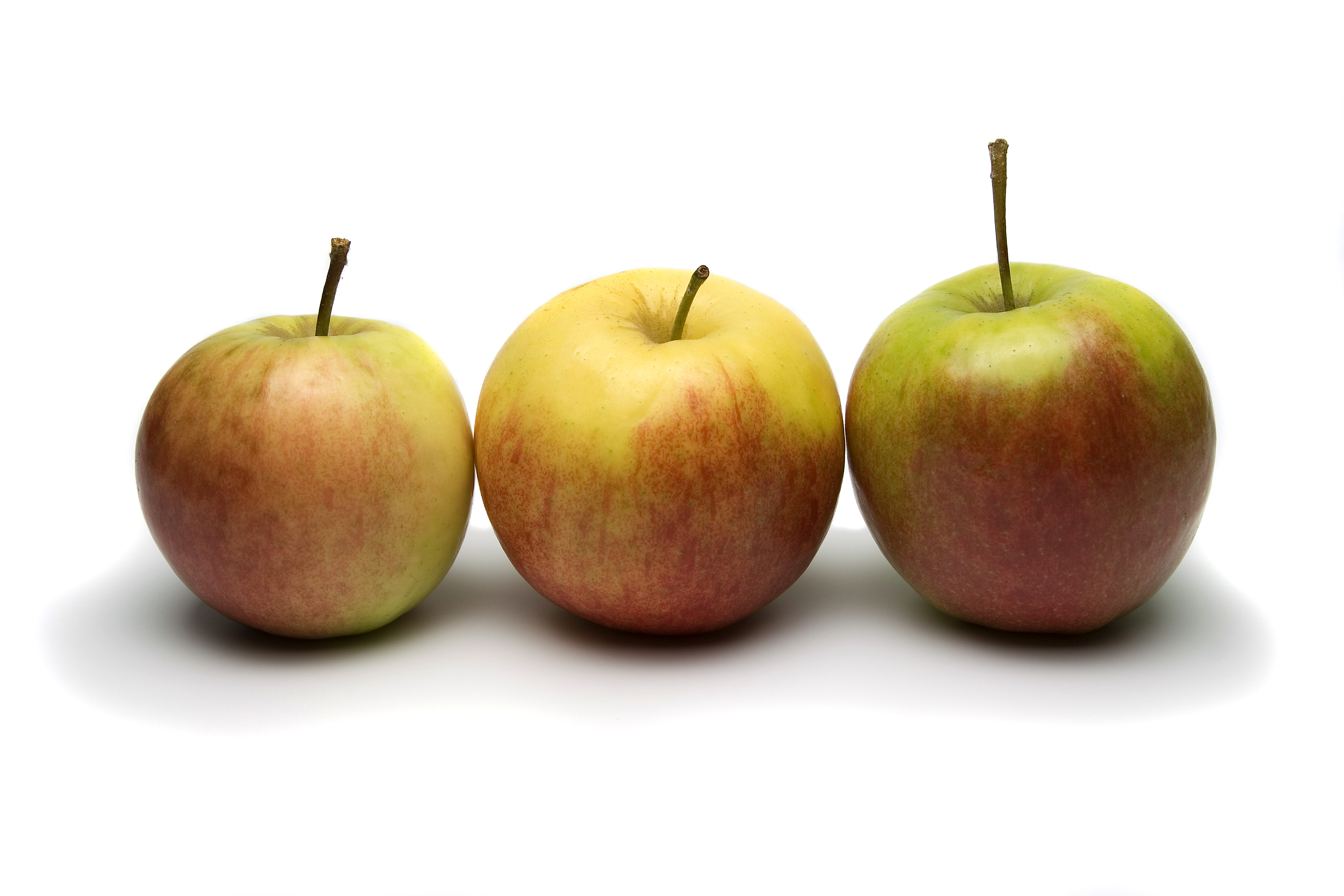 Включи 3 яблока. Яблоки разного цвета. Три яблока. Три похожих яблока. Три яблока разных размеров.
