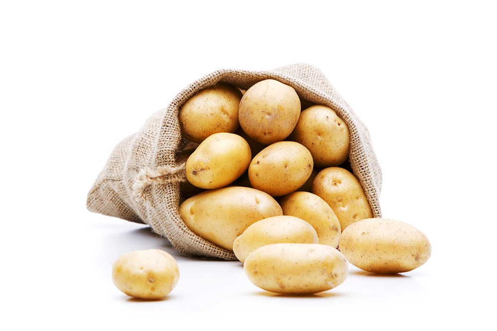 10 килограмм картошки. Мешок картошки. Картошка на белом фоне. A kilo of Potatoes. Кило картошки.