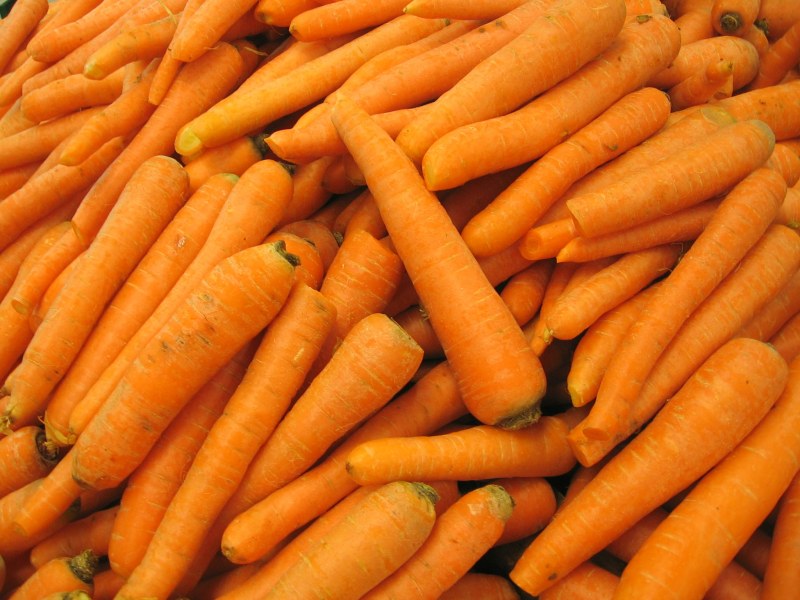 Морковь про 2024 года. Морковь. Морковь навалом. Сочная морковь. Подмороженная морковь.