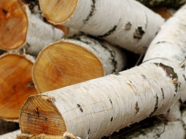  дрова лучше брать для приготовления шашлыка Еда Другое