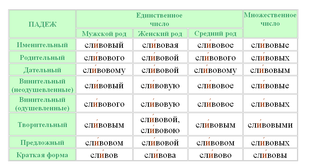 Сливовый - ударение и склонение прилагательного