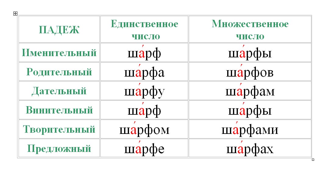 Куда падает ударение в слове «шарфы»?