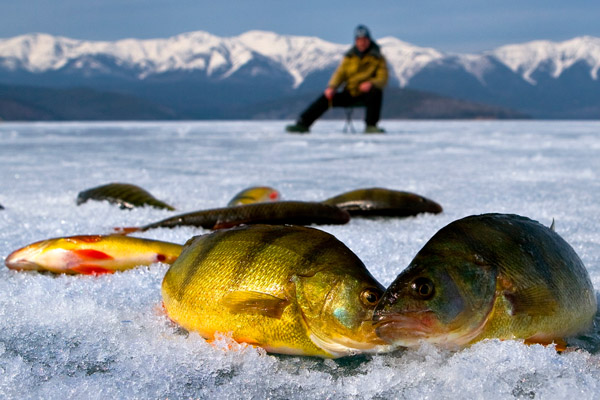 зимняя рыбалка на байкале