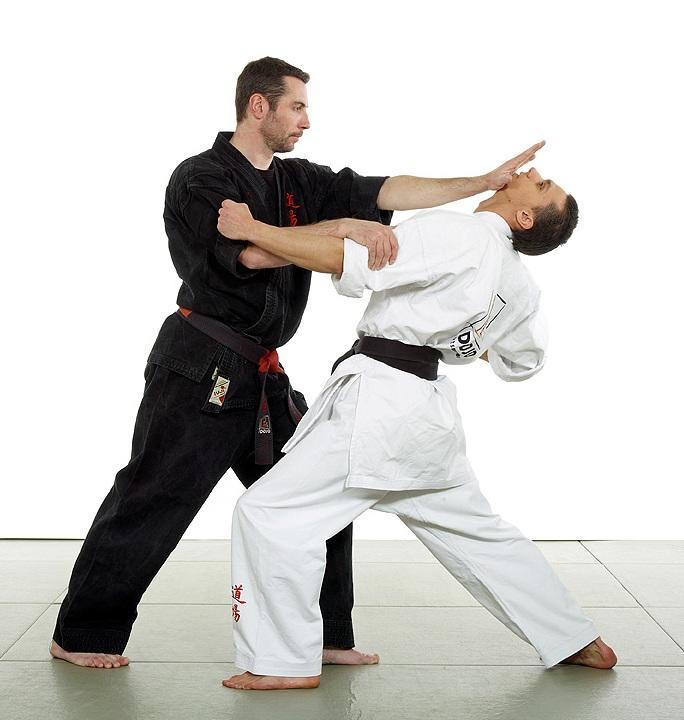 Правила джитсу. Бразильское джиу-джитсу боевые искусства Японии. Джиу-джитсу японское дзюдзюцу. Джиу-джитсу ударная техника. Мастер джиу джитсу Япония.