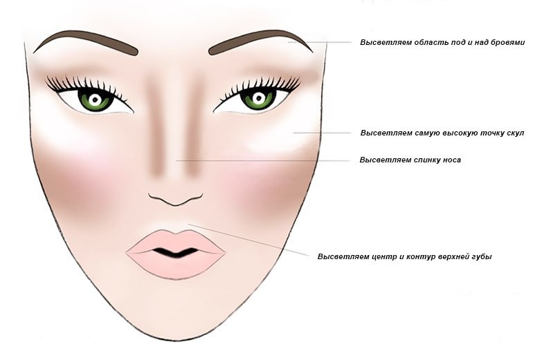 Схема лица для макияжа картинки с описанием