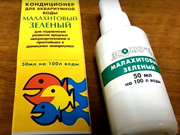 Ихтиофтириоз у рыб