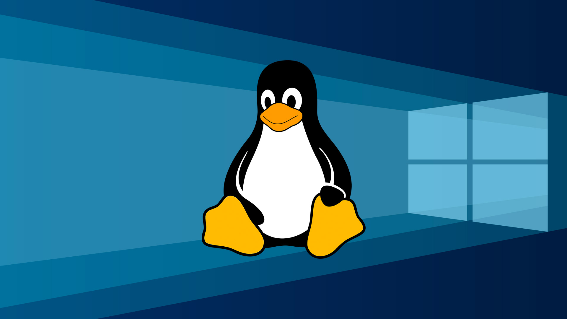 Linux и Windows — основные операционные системы для Raspberry Pi