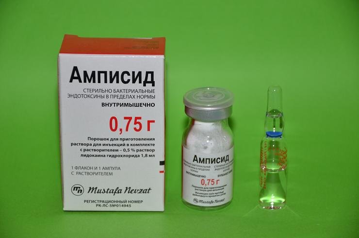 Амписид: инструкция по применению, цена, аналоги Лекарственные препараты