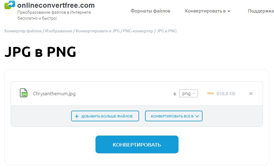 Перевод в jpg. ONLINECONVERTFREE. Перевести PNG В jpg. Как jpg перевести в PNG. ONLINECONVERTFREE logo.