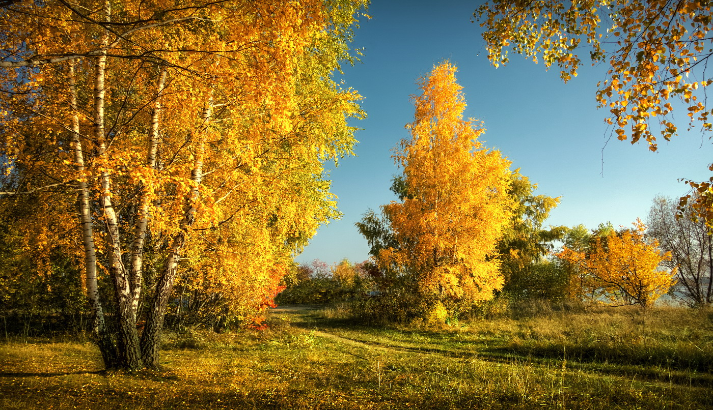 "Болдинская осень" - это уединение и красота природы