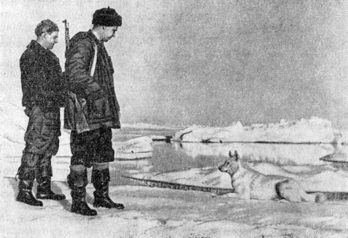 Начальник дрейфующей станции «Северный полюс-2» Михаил Сомов с товарищем обходят свои владения