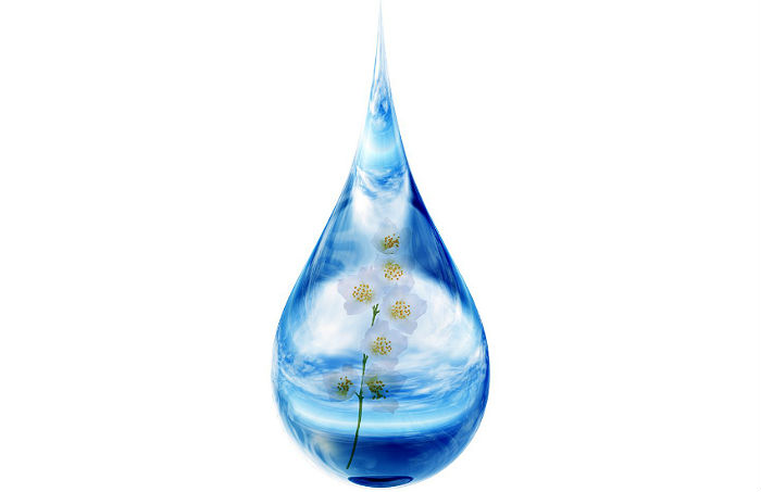Гидролат жасмина - применение цветочной воды