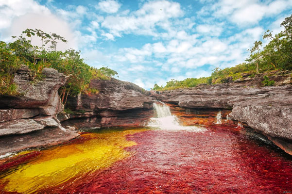 Загадки планеты: многоцветная река Каньо-Кристалес