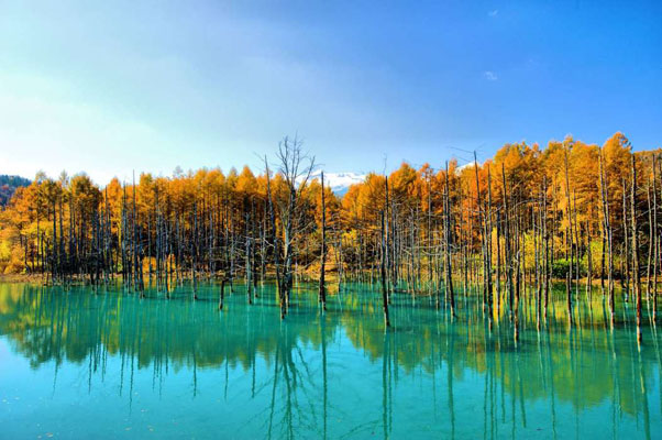 Самые красивые места мира: пруд Биэй