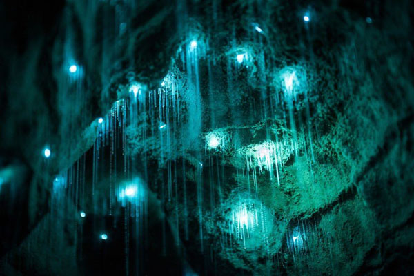 Пещера Светлячков:  звездное небо системы Вайтомо