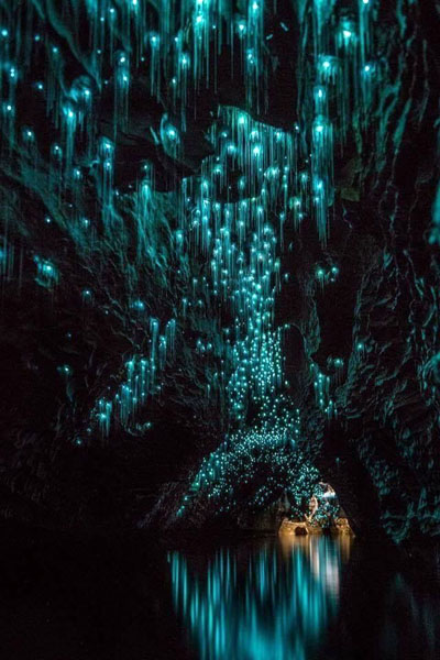 Пещера Светлячков:  звездное небо системы Вайтомо