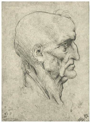 Рисунок Леонардо да Винчи