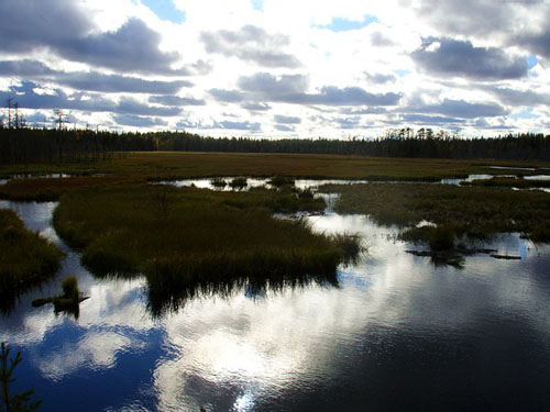Загадочные места России: Череповецкие болота