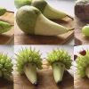 Как сделать ежика из фруктов