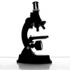 Как пользоваться микроскопом
