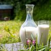 Чем полезно свежее молоко и где его можно купить