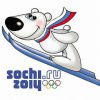 Медальные перспективы сборной России на Олимпиаде в Сочи