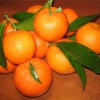 Несколько признаков спелого мандарина