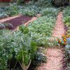 10 советов для огородников