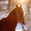 Правильное поведение при фотографировании с лошадью