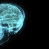 Как улучшить работу мозга