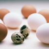 Чем полезны перепелиные яйца