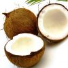 В чем польза кокосового масла